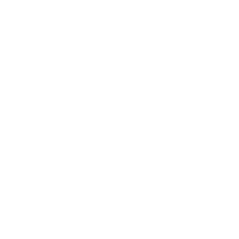 S logo